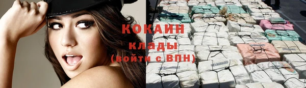 стафф Алзамай