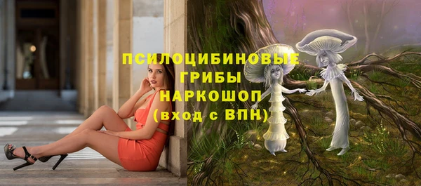 дмт Абинск
