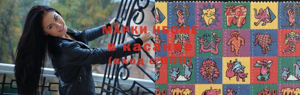 стафф Алзамай