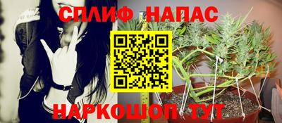 крисы Азнакаево