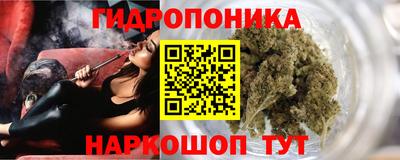 крисы Азнакаево